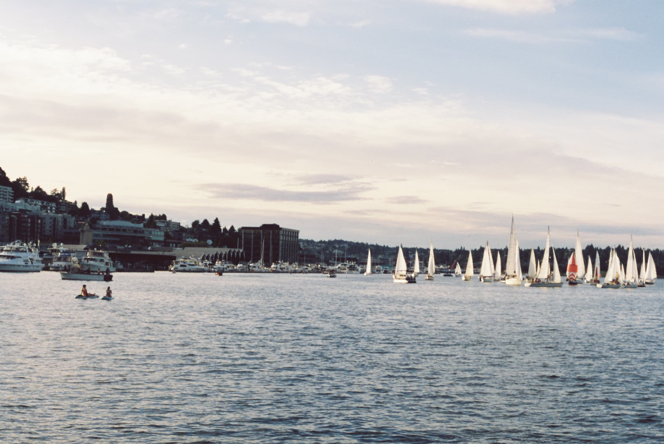 sailboats